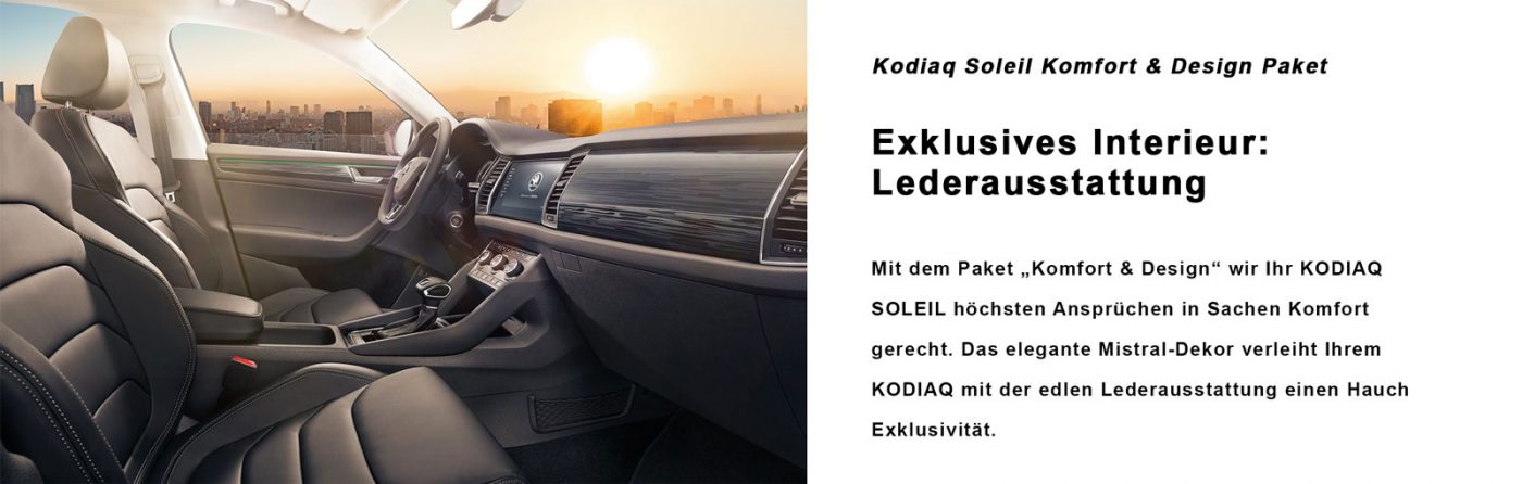 Soleil-Galerie_Leder