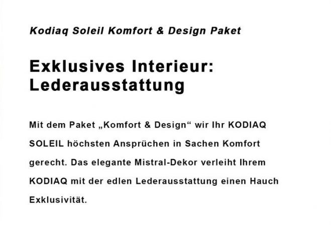 Soleil-Galerie_Leder2