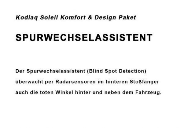 Soleil-Galerie_Spurwechselassistent2